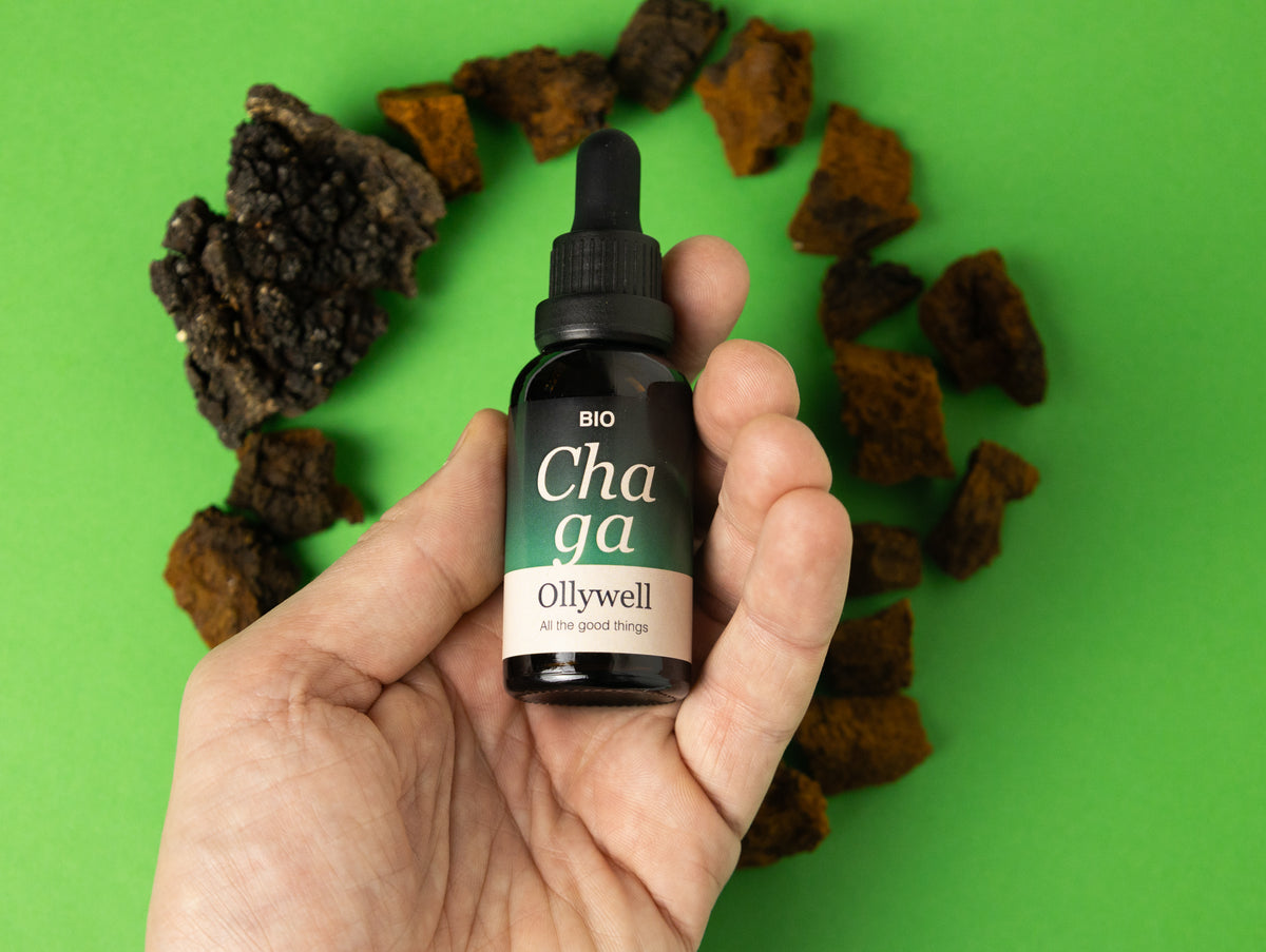 BIO Chaga Ollywell Drops 30 ml dual extract of Inonotus obliquus