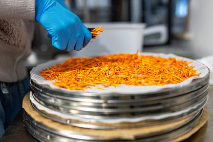 BIO Cordyceps: Energi+
