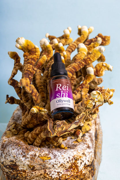 BIO Reishi: Sömn+