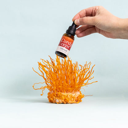 BIO Cordyceps: Energi+