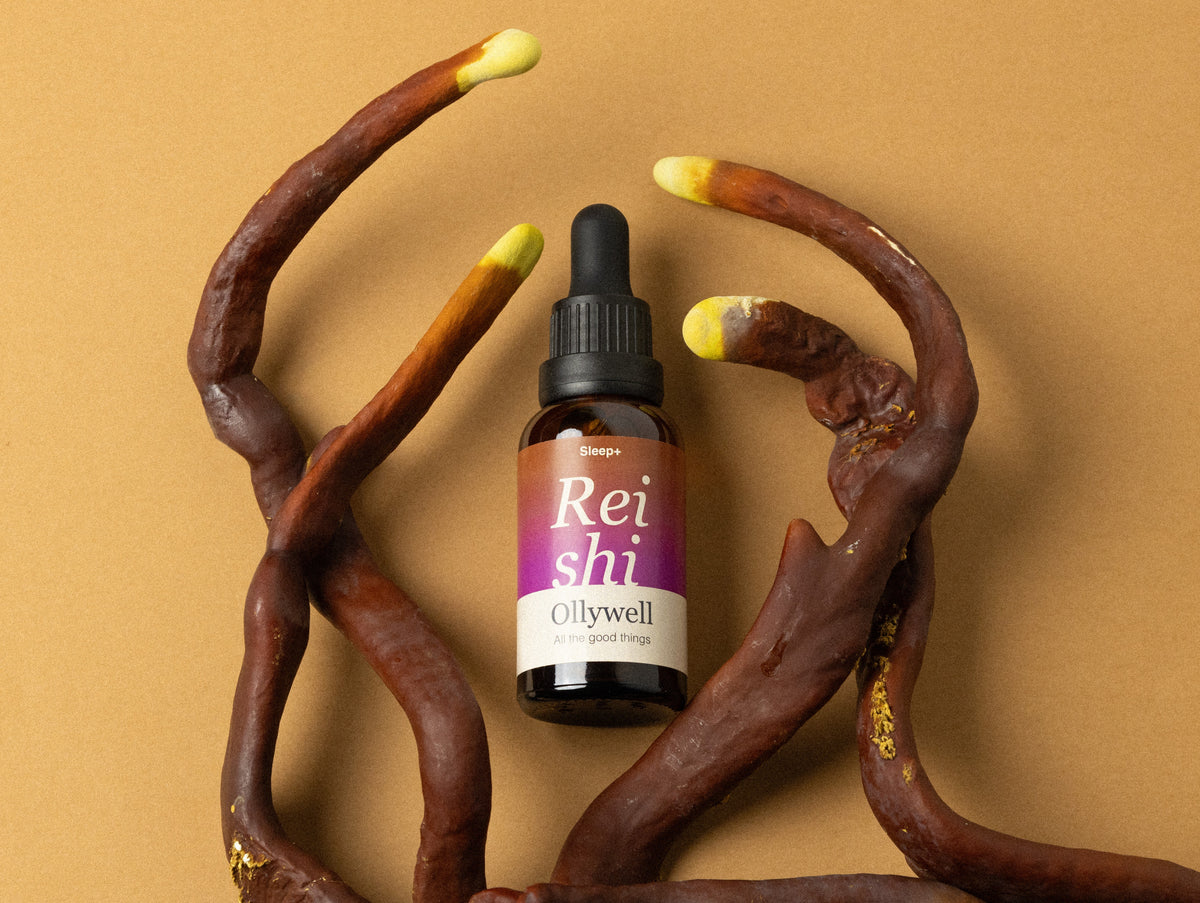 BIO Reishi: Sömn+