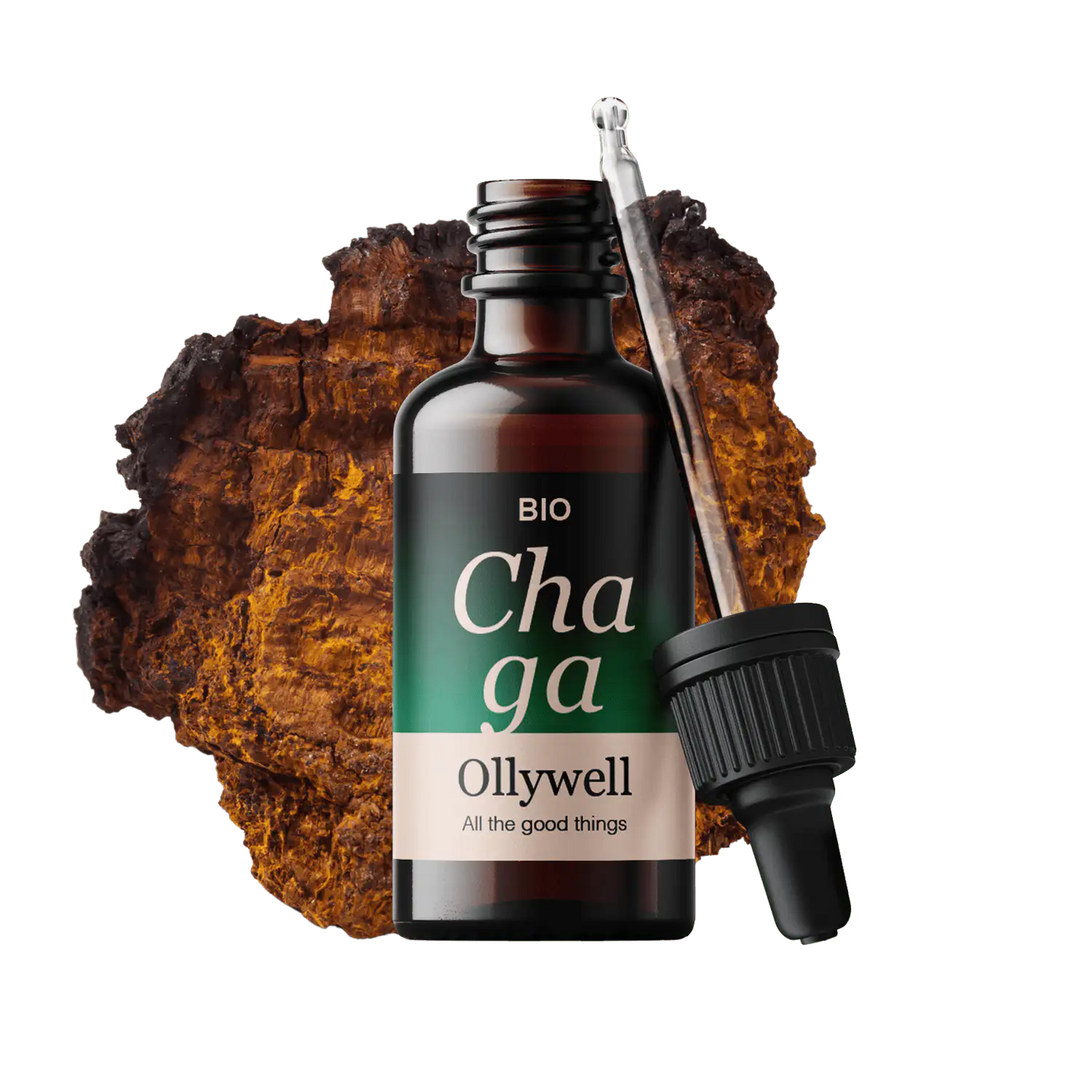 BIO Chaga: Antioxidant+
