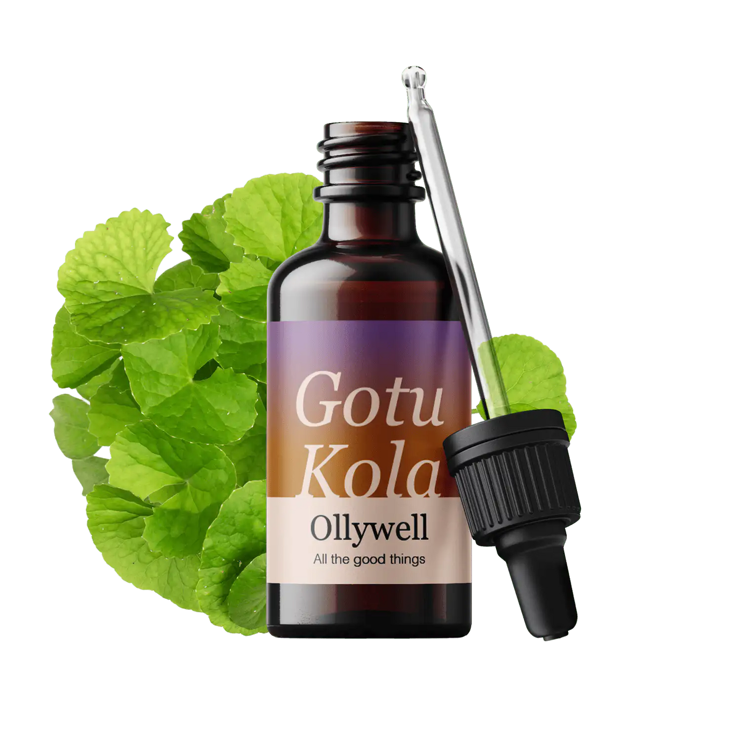 Gotu Kola: Renewal+