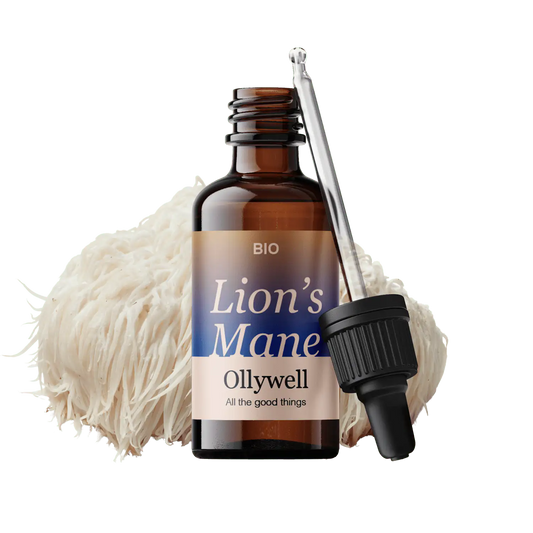 BIO Melena de León Cerebro+